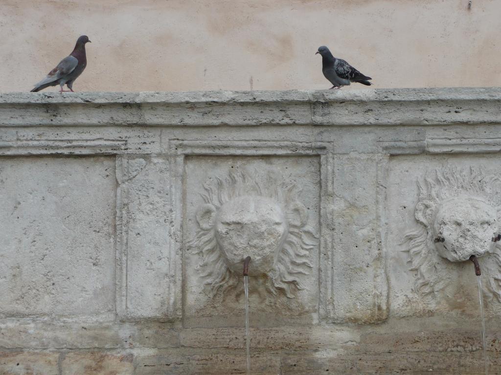 Villa Rosy Assisi Exterior foto